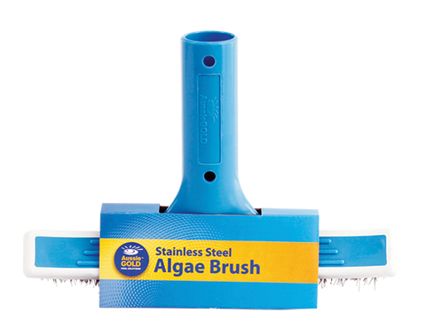 Aussie Gold 10" Algae Brush - Stainless Steel