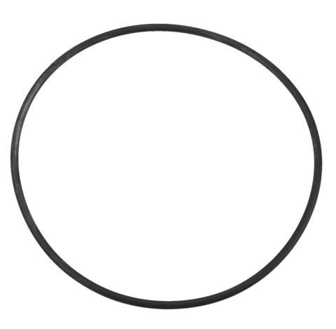 Pentair Onga Leisuretime II / LSFII Filter Neck O'Ring