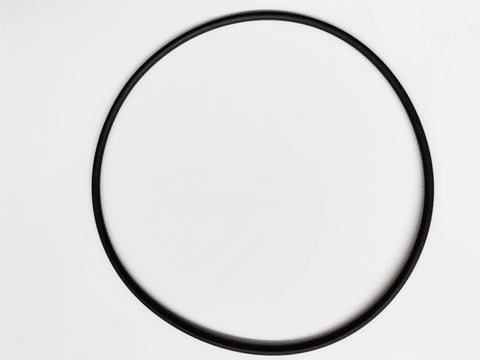 Zodiac Clearwater LM3 Cell Housing O'Ring
