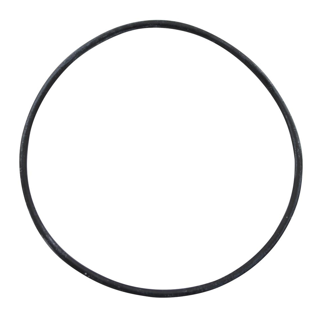 Poolrite CL Series Cartridge Filter Lid O'Ring – Dad's Pool Shop